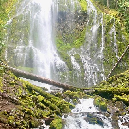 Mckenzie River Mountain Resort Blue River Eksteriør billede