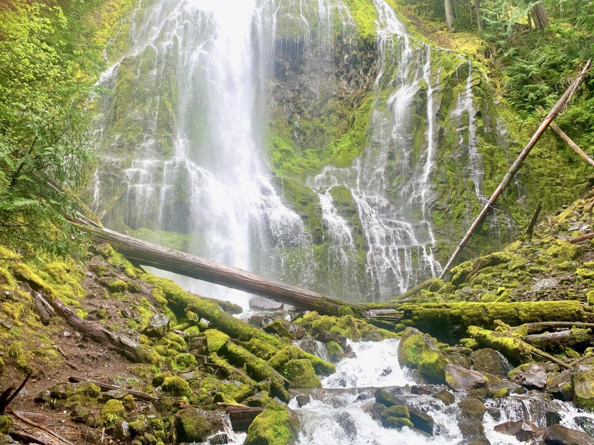 Mckenzie River Mountain Resort Blue River Eksteriør billede